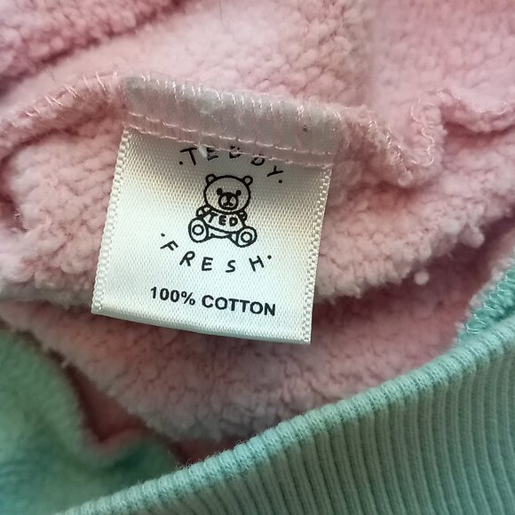 Teddy Fresh Color Block Pastel Hoodie (XL) - Picture 3 of 10